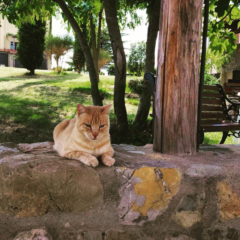 Agriturismo San Nicolo Montecastelli Pisano المظهر الخارجي الصورة